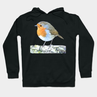 Curious Robin And Blue Sky Hoodie